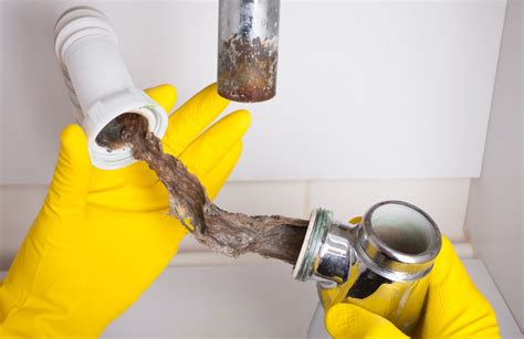 Clogged sinks and drains. Things To Know About Clogged sinks and drains. 